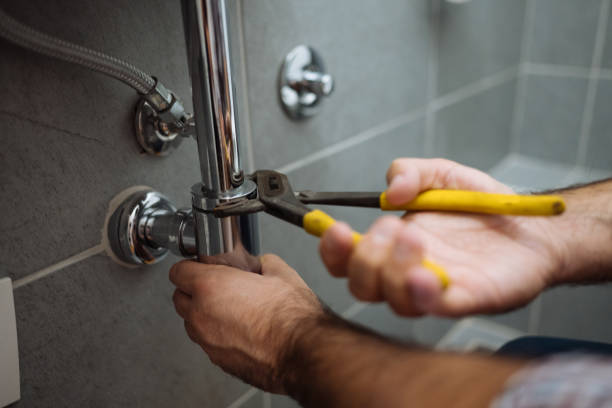 Best Plumbing Inspection Services  in Lliams Bay, WI